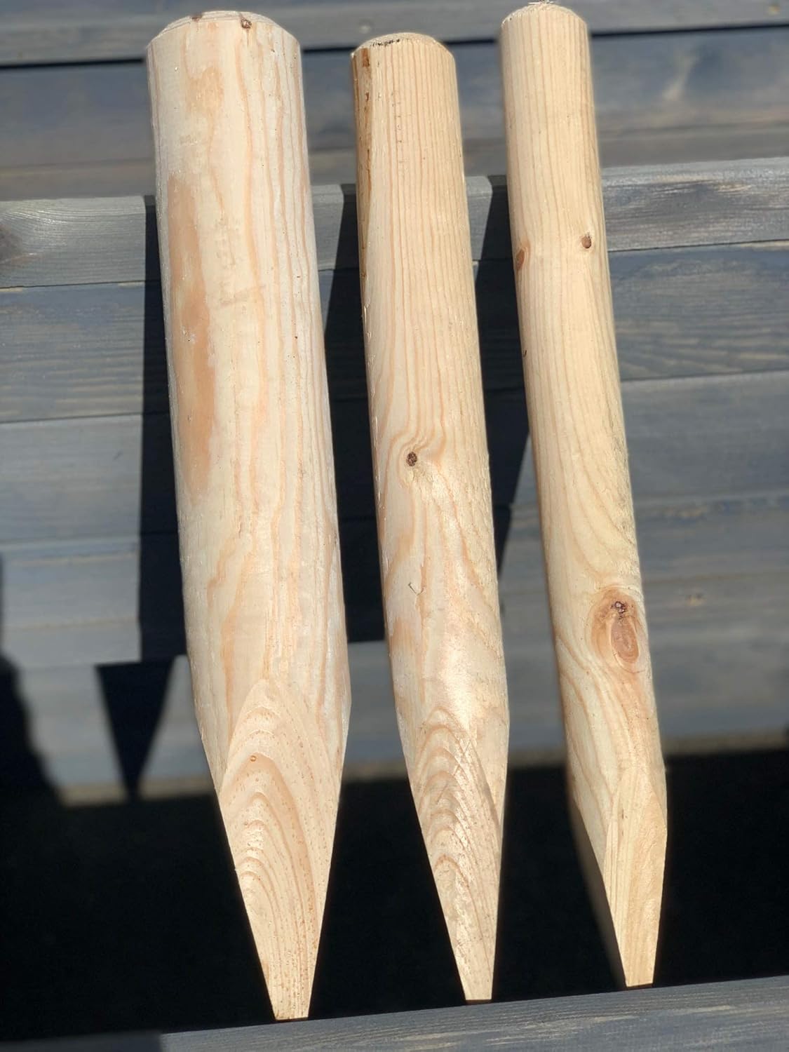 8cm Holzpfähle / Baumpfähle roh – einseitig gespitzt & gefast