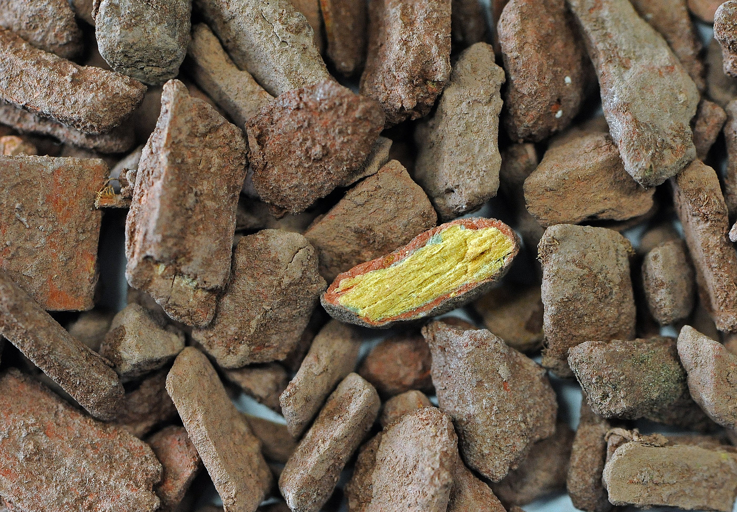 Cemwood, Querschnitt von mineralisch ummantelter Holzspäne