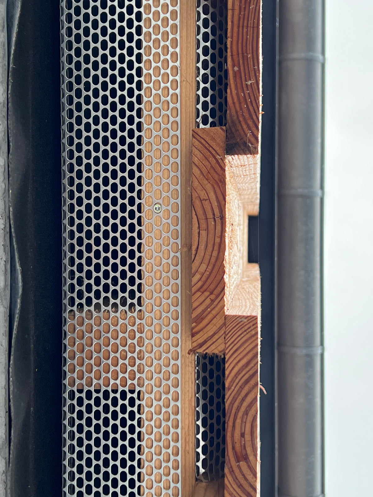 Aluminium Lüftungswinkel 2,50 m – Effektiver Insektenschutz & Hinterlüftung für Ihre Fassade